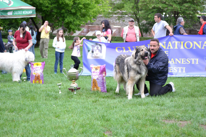 DSC_6454 - Targoviste 20 05 2012