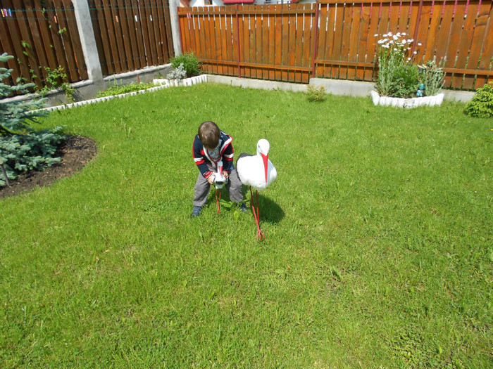 sà te incalec eu un pic