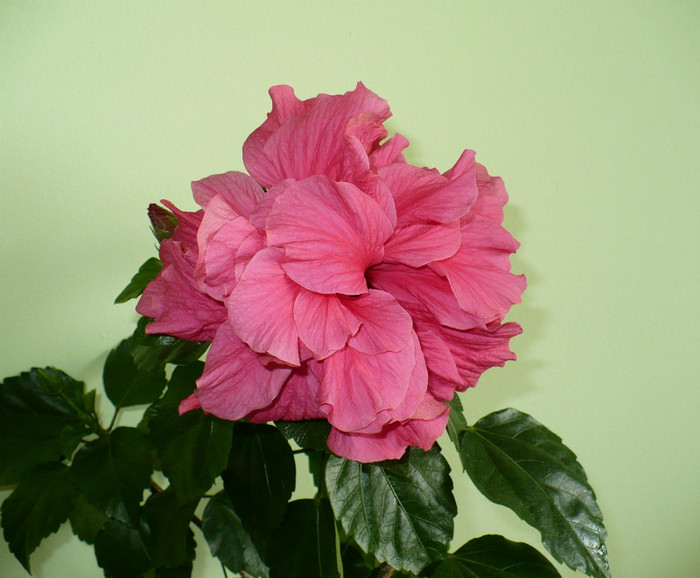 P1390434
