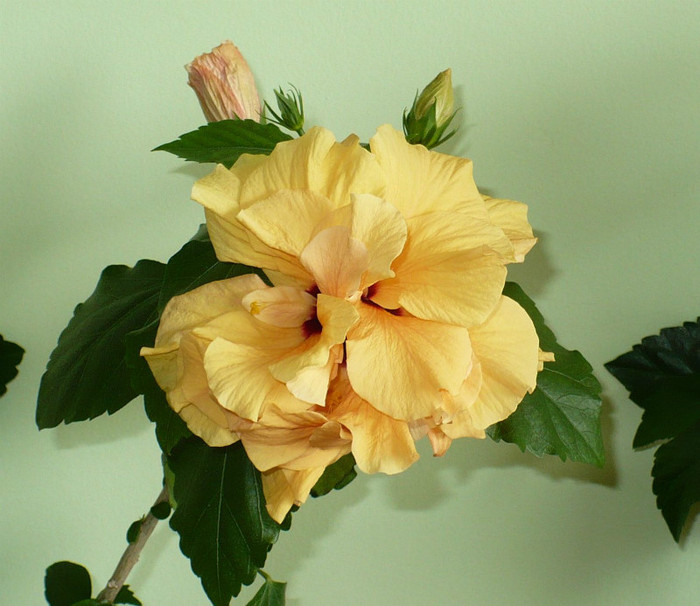 P1390439