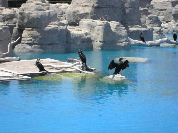 P2042084 - CALATORIND Valencia-Oceanografic