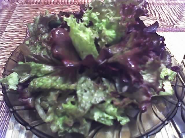 31-05-12_1622-salata verde