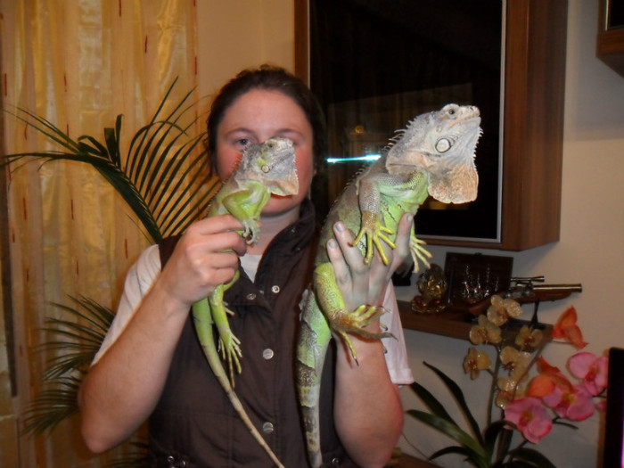 cu ´´vietatile´´