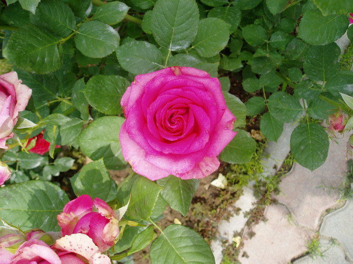 P1010520