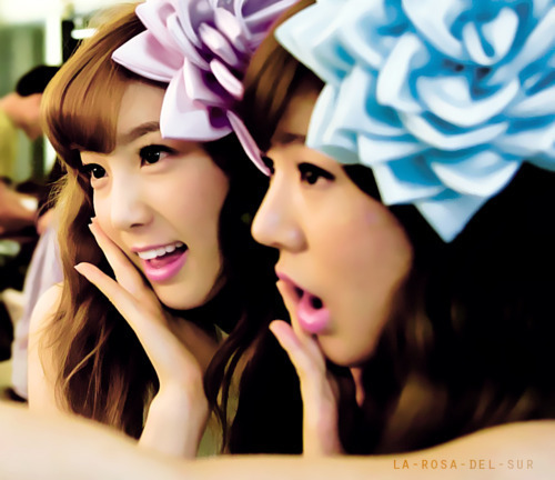 TaeSun <3 . [Taeyeon & Sunny]
