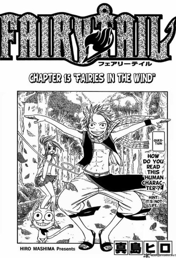 17 - Fairy tail manga