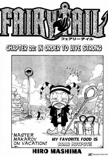 22 - Fairy tail manga