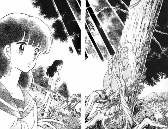 9 - Inuyasha manga