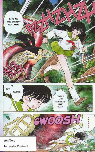 14 - Inuyasha manga
