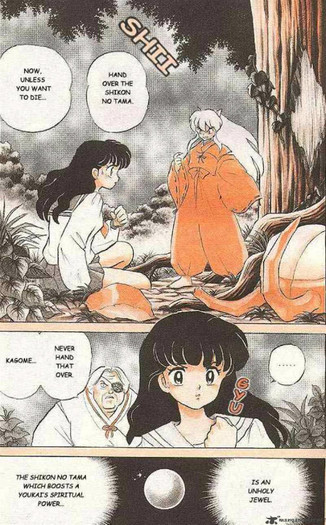 18 - Inuyasha manga