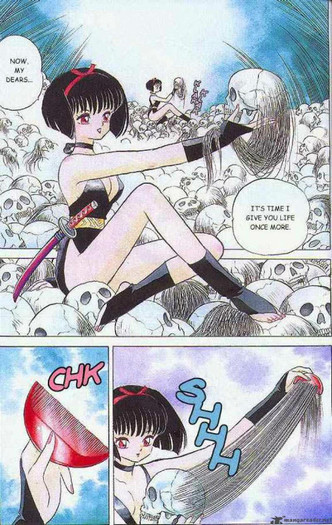 35 - Inuyasha manga
