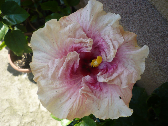 P1140128