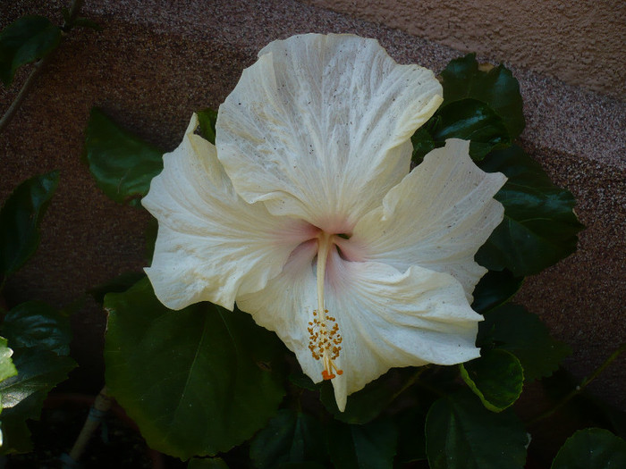 P1140132