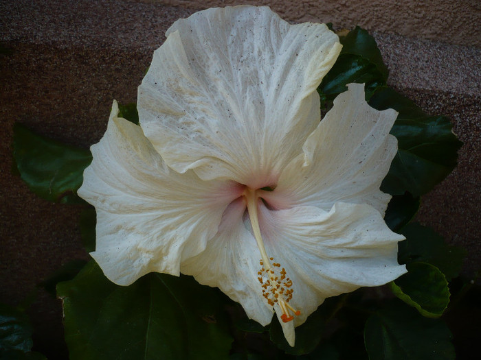 P1140134