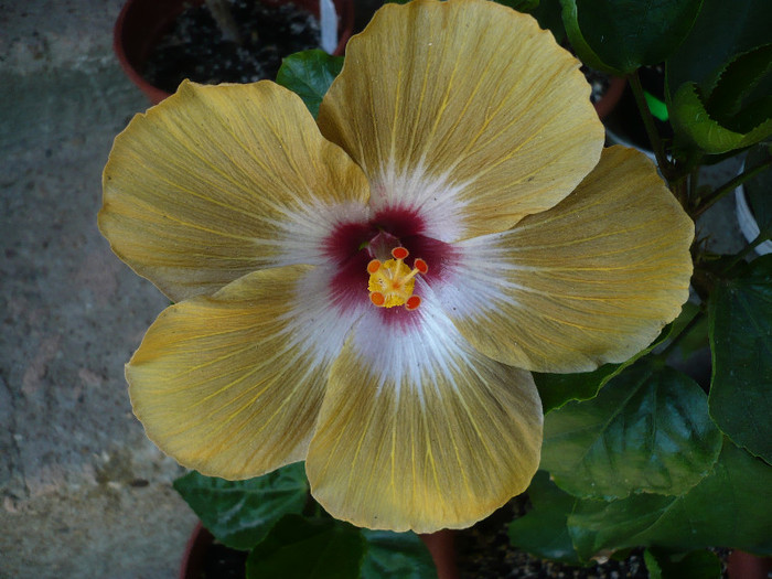 P1140138