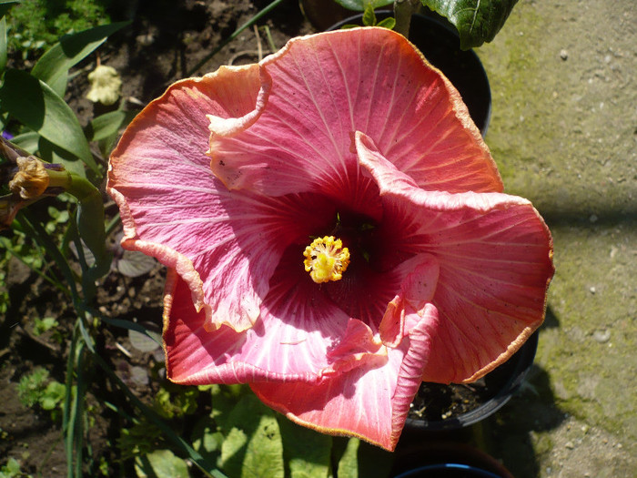 P1140145