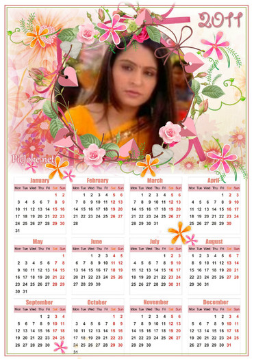 10-ro-014addb690c80c91e35ce2741d025b15_ip_109_166_133_181 - Colaje-india