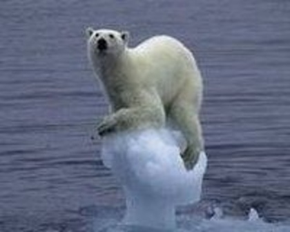 fb510370cfcf48118976f4e487d4db37_4fad5c492ed43_c - animalute