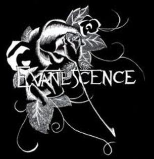 images (41) - Evanescence