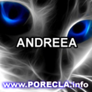 518-ANDREEA avatre cu nume part2 - ANDREEA