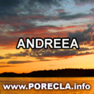 518-ANDREEA - ANDREEA