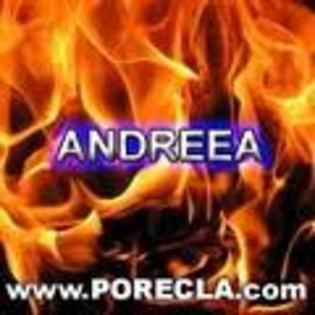 images - ANDREEA