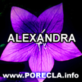 506-ALEXANDRA super avatare 2010 part2 - ALEXANDRA