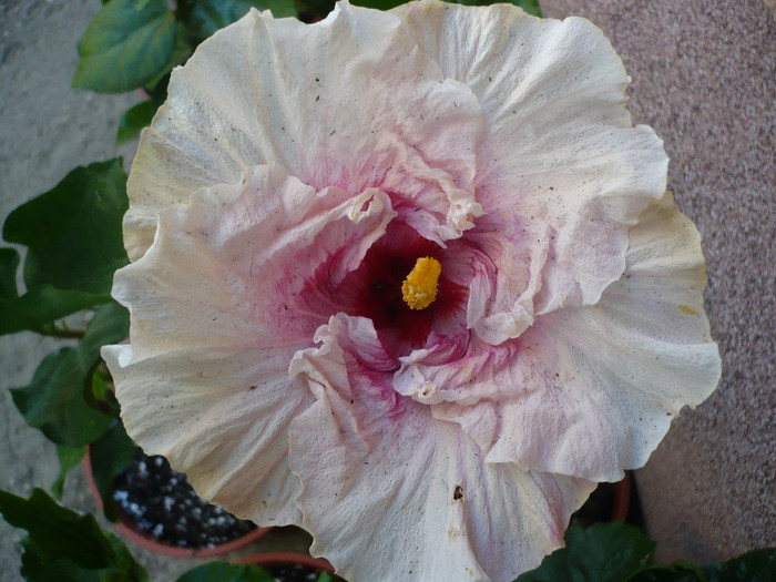 P1140181