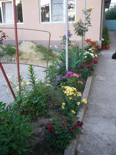 P1140209 - GRADINA 2012