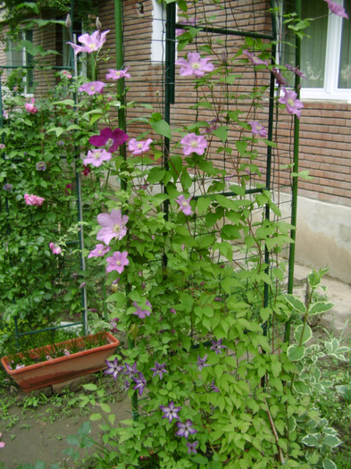 27 mai 2012 - Comtesse de Bouchaud