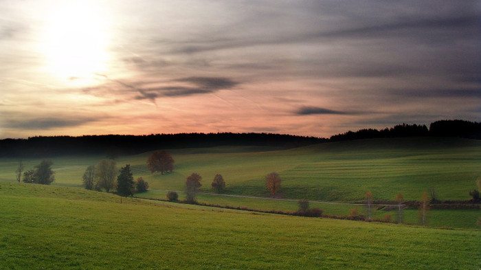 wallpaper-324989 - Wallpapers com
