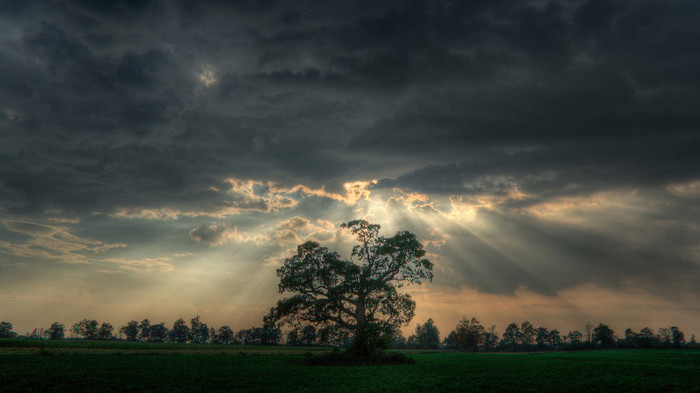 wallpaper-366415