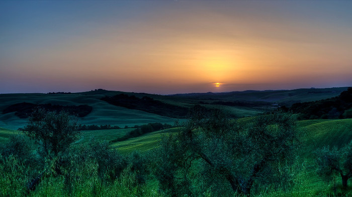 wallpaper-431468