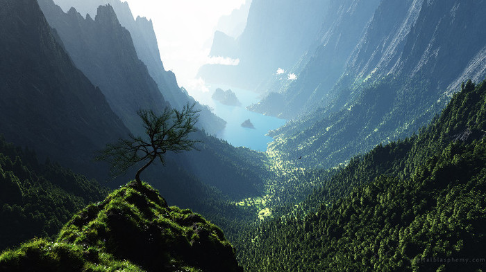 wallpaper-496893