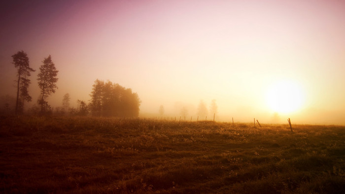 wallpaper-522548