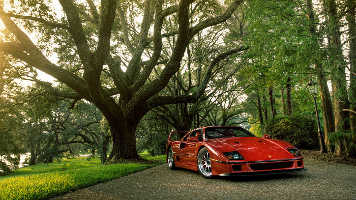 wallpaper-540044