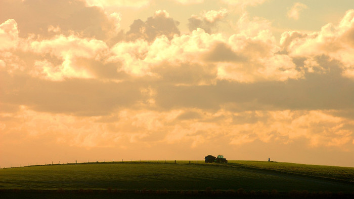 wallpaper-558655 - Wallpapers com