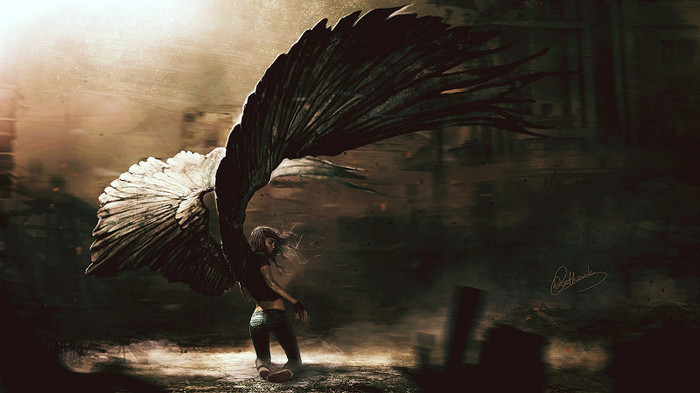 wallpaper-586208 - Wallpapers com