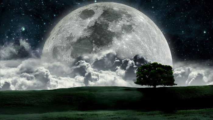 wallpaper-590331 - Wallpapers com
