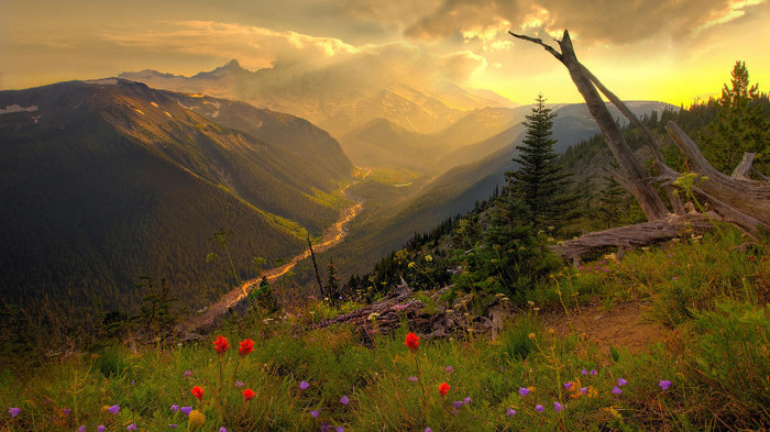 wallpaper-793212 - Wallpapers com