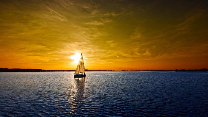 wallpaper-795277 - Wallpapers com