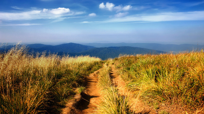 wallpaper-795895 - Wallpapers com