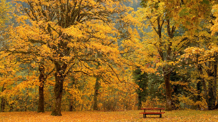 wallpaper-802015 - Wallpapers com