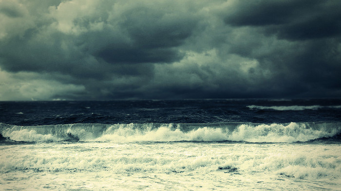 wallpaper-820446 - Wallpapers com