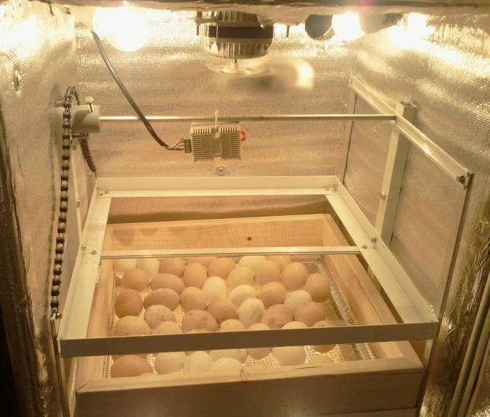 incubator semiautomat; incubator pentru 180 oua asezate pe 3 nivele
are indicator si alarma pentru temperatura si umiditat
