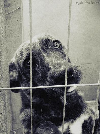 545021_341856229217711_917497212_n