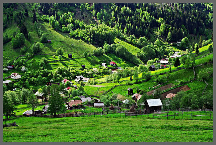 163558_222115177904897_182202395229509_386403_554586671_n