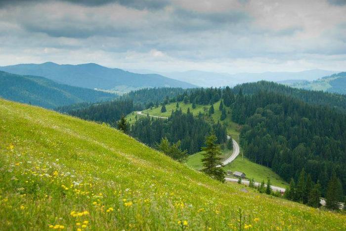 296139_228813890513572_156017631126532_649569_436003669_n