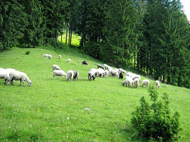 308653_231562926905335_2112626425_n