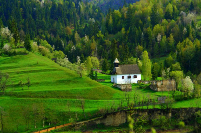 311024_233221576739470_297256890_n